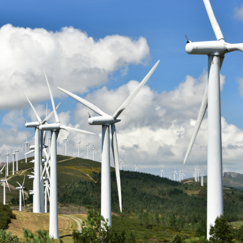 Wind Power Industry