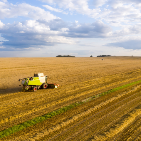 Agriculture Industry